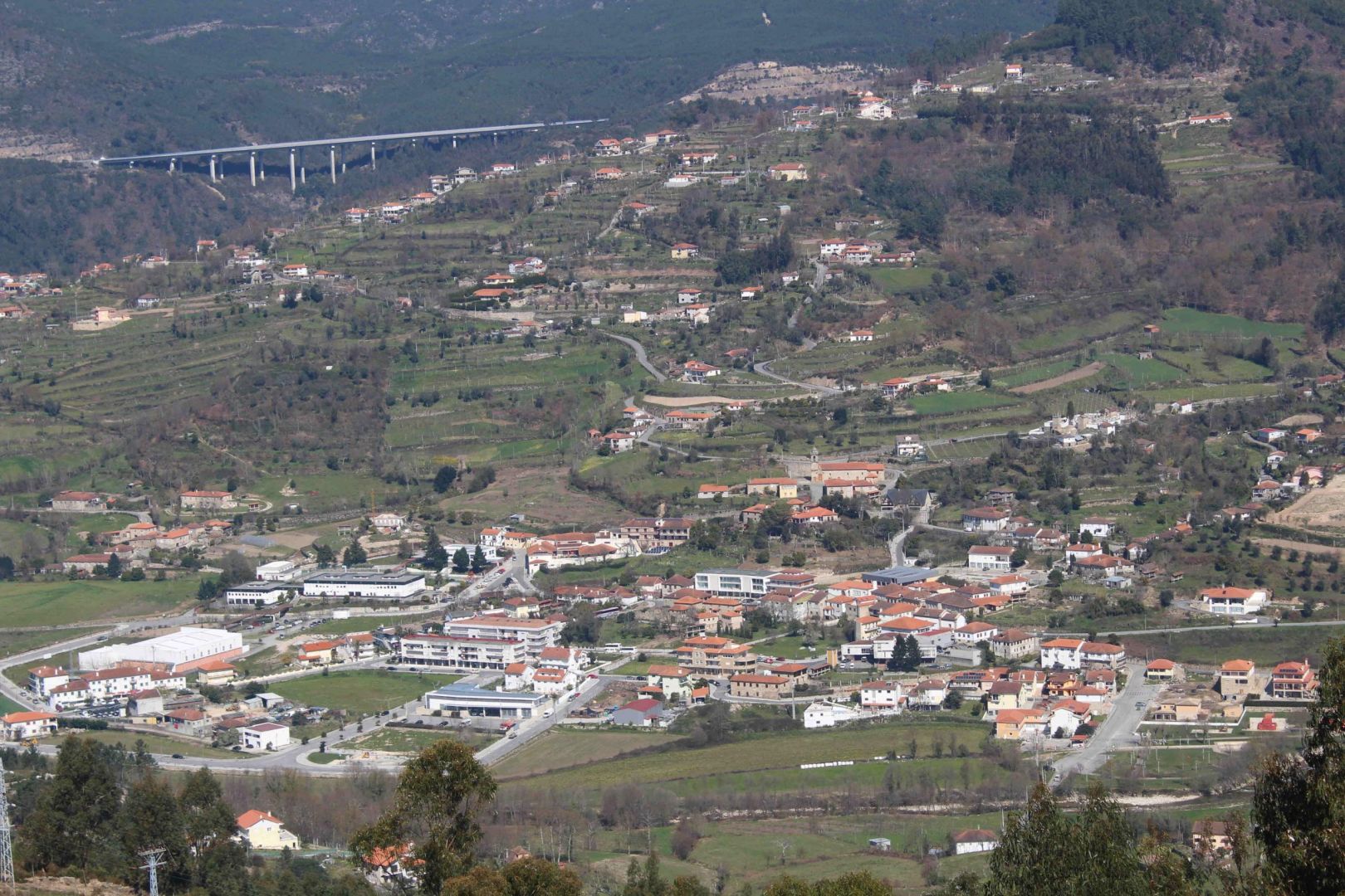 Cerva - Panorâmica 